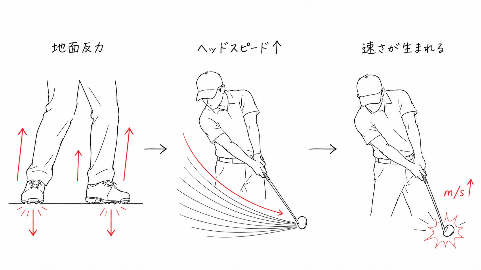 瞬発力 → ヘッドスピード↑ → 速さが生まれる